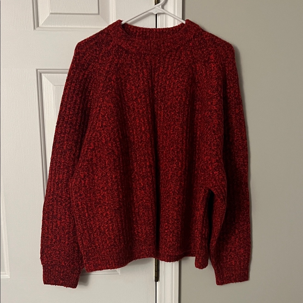 Madewell Women’s Ribbed Sweater (Size L)